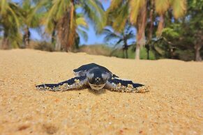 Bungalows Santa Cruz
