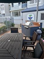 Pandanus Coolum Beach