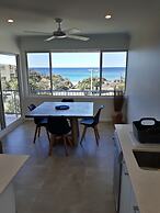 Pandanus Coolum Beach