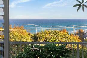 Pandanus Coolum Beach