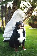 Grand Hotel del Mare Resort & Spa