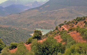 Casa Rural Los Algarrobales