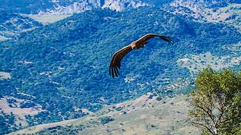 Casa Rural Los Algarrobales