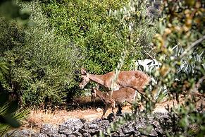 Casa Rural Los Algarrobales