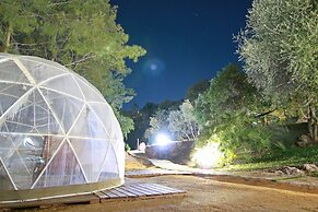 Casa Rural Los Algarrobales