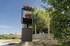 Hampshire Hog