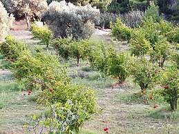 Petroto Sea View Villas