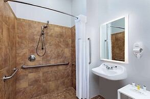 Microtel Inn & Suites by Wyndham Opelika