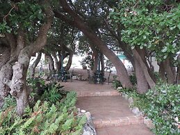 Milkwood Lodge - Hermanus