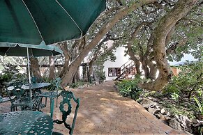 Milkwood Lodge - Hermanus