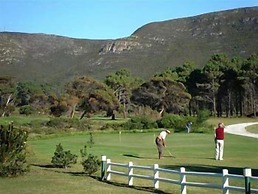 Milkwood Lodge - Hermanus
