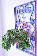 Jardin Azul - Casa Hotel