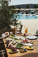 Cocos The Club Solto - Boutique Class