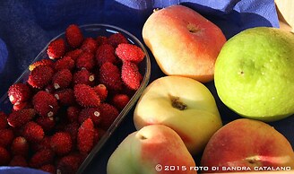 Suite House L'isola che non c'è