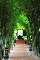 Saree Samui Natures Finest Resort