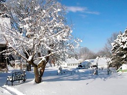 The Pines of Dresden B&B