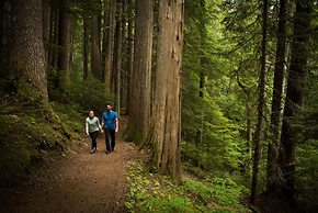 Northstar by Whiski Jack