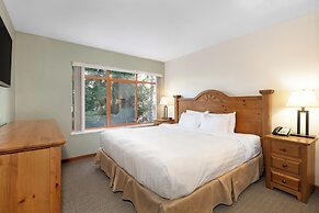 Northstar by Whiski Jack