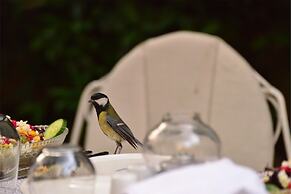 Kitapevi Special Class Hotel