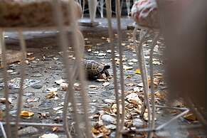 Kitapevi Special Class Hotel