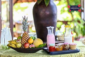 ThalassaGarden Hotel - Pousada