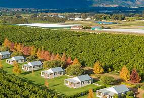 Paddabult Self Catering Cottages