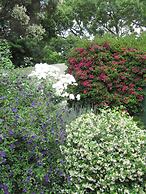 Liz at Lancaster Guesthouse