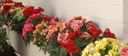 Liz at Lancaster Guesthouse