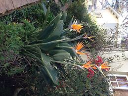 Liz at Lancaster Guesthouse