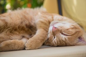 Sebastians Family Hotel & Taverna