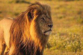 Woodall Country House & Spa