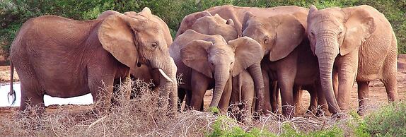 Woodall Country House & Spa