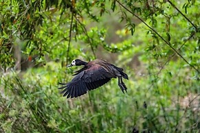 Woodall Country House & Spa