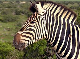 Woodall Country House & Spa