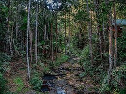 Narrows Escape Rainforest Retreat