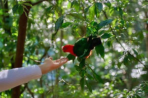 Narrows Escape Rainforest Retreat