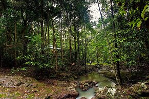 Narrows Escape Rainforest Retreat