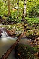 Narrows Escape Rainforest Retreat