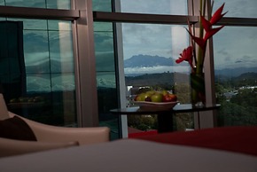 Hotel Ciudad De David