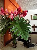 Hotel Alicante San Salvador