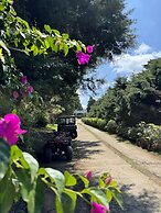 Hotel Alicante Montana