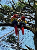 Hotel Alicante Montana