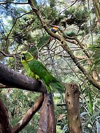 Hotel Alicante Montana