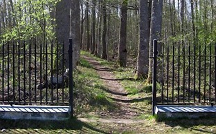 Wärdshuset Gammel Tammen