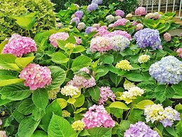 Sandaway Suites & Beach