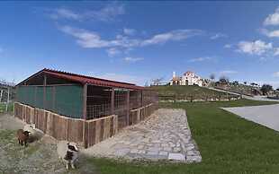 Delina Mountain Resort