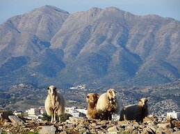 Delina Mountain Resort