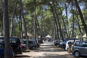 Pine Beach Pakostane - All Inclusive light