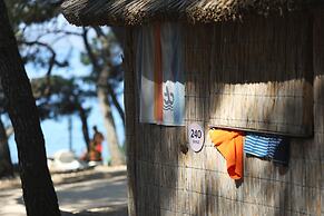 Pine Beach Pakostane - All Inclusive light