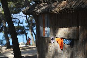 Pine Beach Pakostane - All Inclusive light